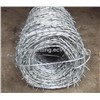 Galvanized Barbed Wire Factory (Reliable Exporter )