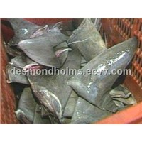Fresh and Dry Shark Fins Forsale