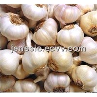 Garlic extract: Allin