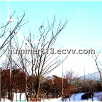 Low rotating speed 10KW wind power generator for Korea airport