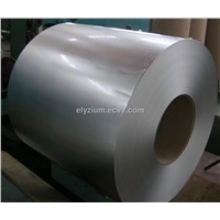 Hot Rolled Stainless Steel Coils/ Steel Script