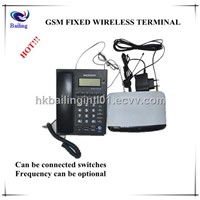 IMEI Changeable Fixed Wireless Terminal/Wireless Local Loop/VoIP Gateway