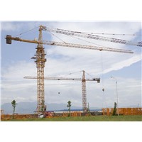 Tower crane Model    QTZ50  5010
