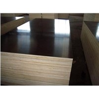 black film faced plywood / building template board for construction