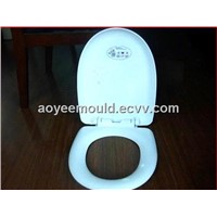 plastic toilet seat cover mould