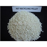 PET recycling Pellets