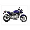 250CC Racing Motorcycle (CB300R)