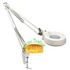 Clip Working Lamp with 127mm magnifying glass
