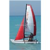 MINICAT sail boat 310 sport