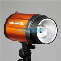 250/300ws Pro Photo Studio Mini Strobe Flash Monolight