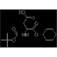 Boc-D-aspartic acid 4-cyslohexyl ester  Cas No:112898-18-7