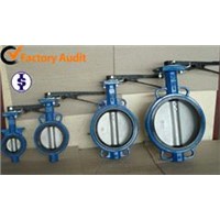 Butterfly valve the disc of ductile iron/SS304 with nickel covering surface