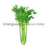 Celery seed extract