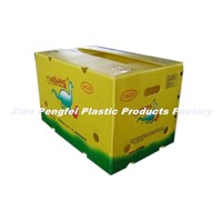 Corrugated Plastic Box