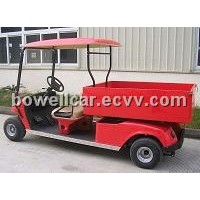Electric golf cart with rear cargo box