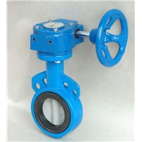 Gear box operated flanged butterfly valve