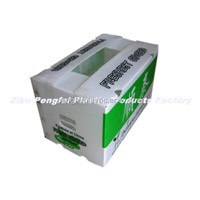 PP Corrugated Box