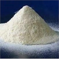 Rice Protein Extract