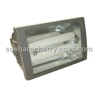 Wall fixture /Floodlight fixture/ Garden light fixture with Electrodeless discharge lamp 40W to 200W