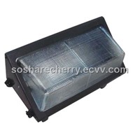 Wall fixture with induction lamp lighting source --40W to 100W