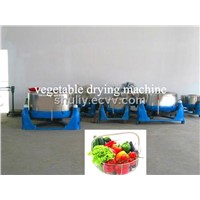 Vegetable Dryer Machine / Drying Machine