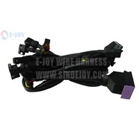 CNG/LPG wire harness