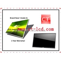 China Laptop LCD LTN156AT02 for Samsung NP-R580-JT01AU