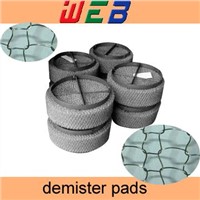 Demister Pads for oil&gas (factory)