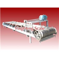 Electronic belt scale from YingHeng Weighing Scale China