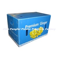 Water Proof Corrugated Plastic Sheet Packing Box