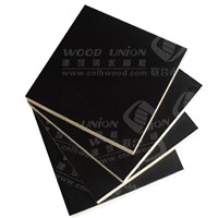 black printed film faced plywood