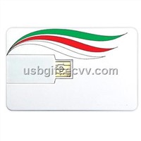 hot name card usb, plastic card usb , card usb stick,usb promotional gift, usb flash memory