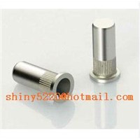 non standard stainless steel blind /closed end rivet nuts
