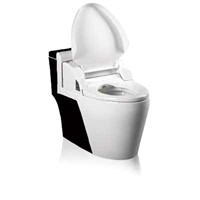 Automatic Toilet (HT586SZ-B)