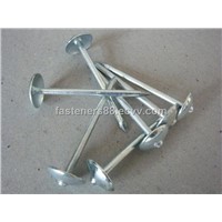 Good quality umbrella head roofing nails BWG9-BWG13 (Manufacturer)