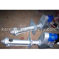 Vertical sump pump