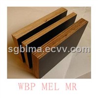 WBP / MEL / MR Glue Film Faced Plywood