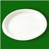 8 inch biodegradable disposable paper plate,paper dish