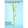 PU Flower orchid  Natural touch.  Real touch feelings Fragrant Flower Artificial Flower