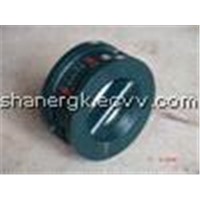 100h Butterfly Type Check Valve with Double-Disc