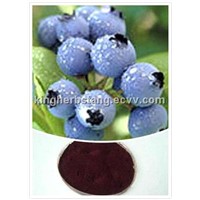 China Bilberry extract