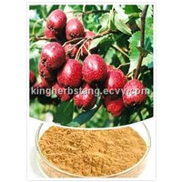 China Hawthorn Berry Extract