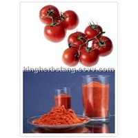 China Lycopene Tomato extract