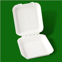 8 inch biodegradable sugarcane pulp paper lunch box