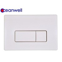 ABS Flush Plate for Concealed Cistern
