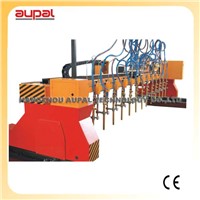 Aupal Multi-Head Strip Type CNC Cutting Machine