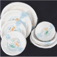Disposable food trays with lid
