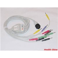 KENZ EKG cable with 10 leadwire