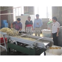 Popular Quality Sprouting Vibration Sheller
