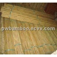 bamboo poles, bamboo canes, bamboo stakes, bamboo rods, Tonkin bamboo poles